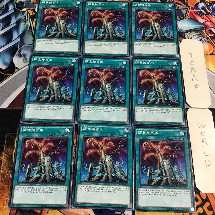 捕食接ぎ木 2 ノーマル 9枚セット てら