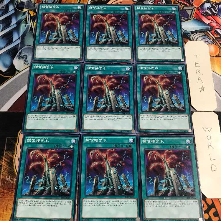 捕食接ぎ木 3 ノーマル 9枚セット てら