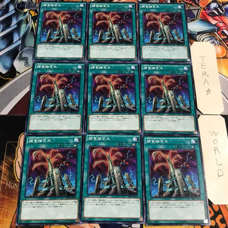 捕食接ぎ木 4 ノーマル 9枚セット てら