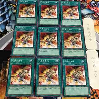 凡骨の意地 3 ノーマル 9枚セット てら