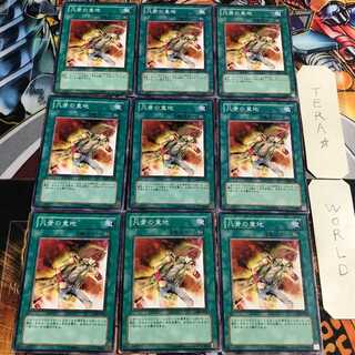 凡骨の意地 5 ノーマル 9枚セット てら