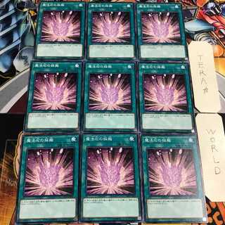 Magical Stone Excavation 4 Normal 9-card set Tera