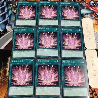 Magical Stone Excavation 5 Normal 9-card set Tera