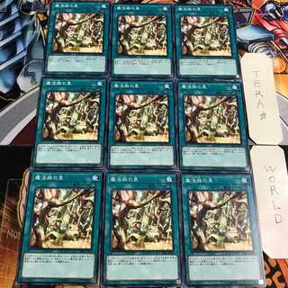 魔法族の里 4 ノーマル 9枚セット てら