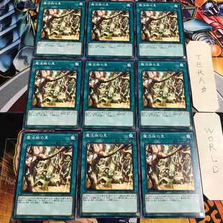 魔法族の里 5 ノーマル 9枚セット てら