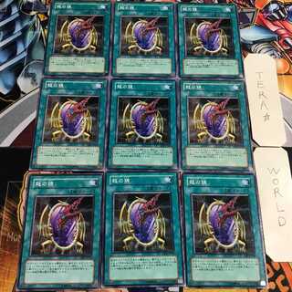 龍の鏡 4 ノーマル 9枚セット てら