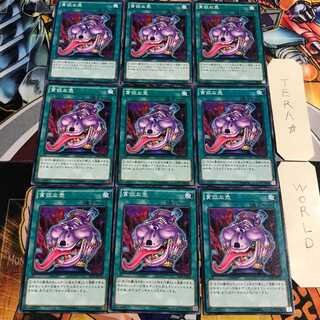 Pot of Avarice 4 Normal, set of 9 Tera.