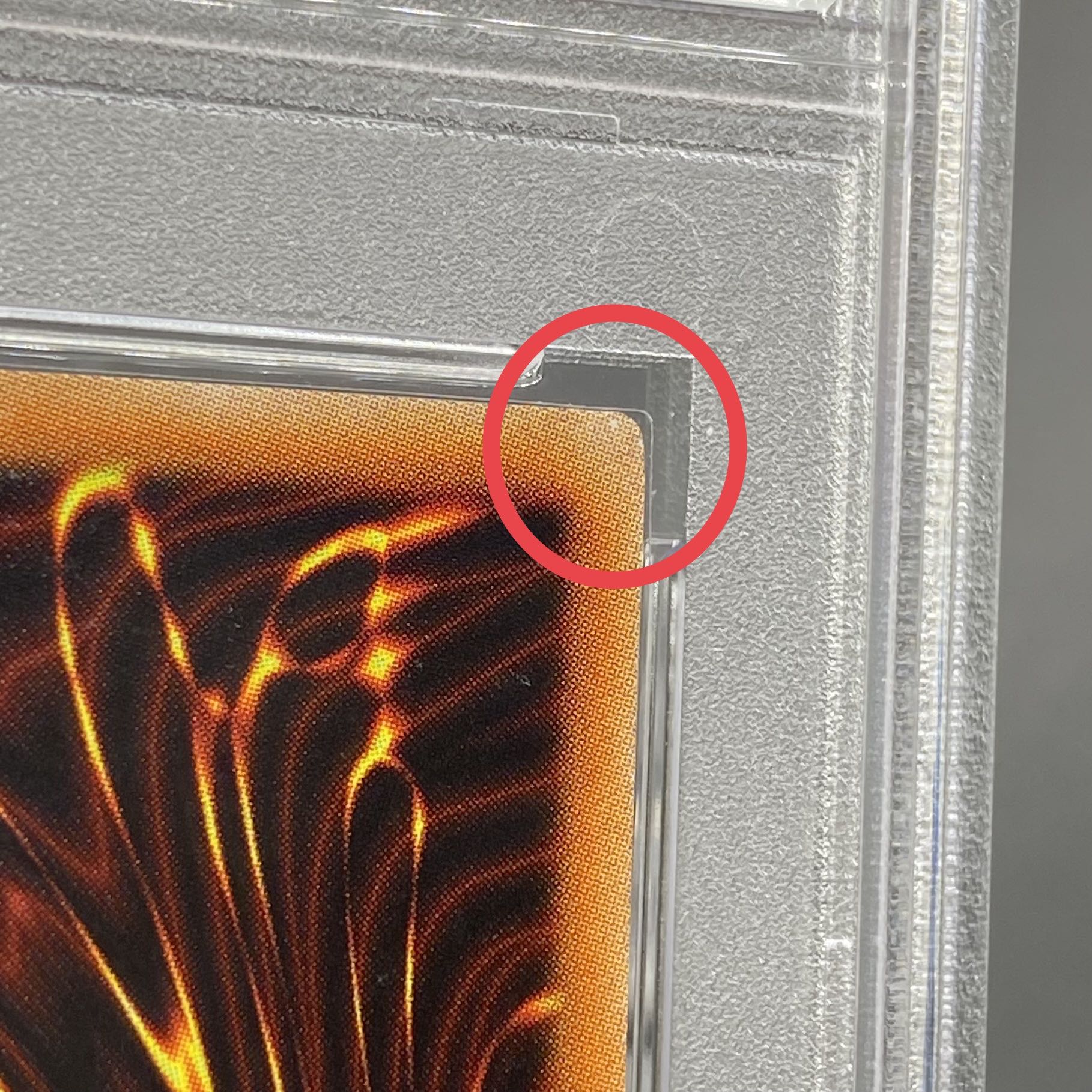 PSA10] Wynn the Wind Charmer, Verdant 20th Secret Rare JP046