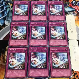 魂の氷結 4 ノーマル 9枚セット てら