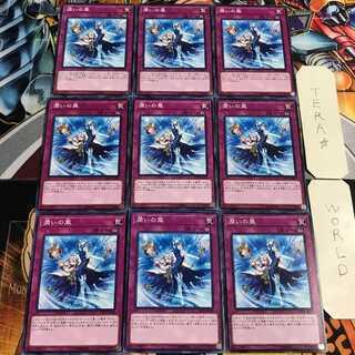 潤いの風 3 ノーマル 9枚セット てら