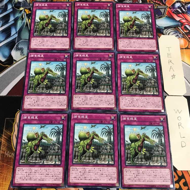 捕食惑星 4 ノーマル 9枚セット てら