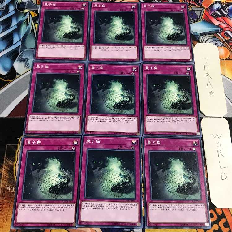 量子猫 2 ノーマル 9枚セット てら