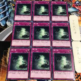 量子猫 3 ノーマル 9枚セット てら