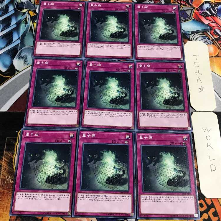 量子猫 4 ノーマル 9枚セット てら