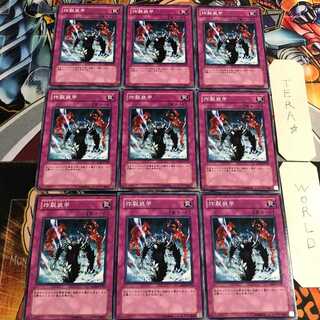 Sakuretsu Armor 4 Normal 9 piece set Tera