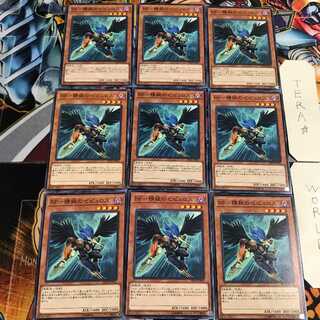 BF-Elite Zephyrus 4 Normal, set of 9 Tera.