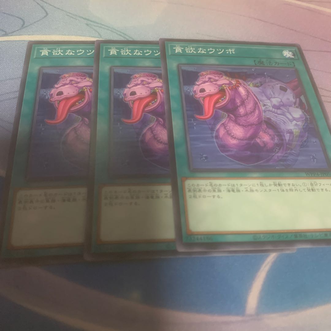 greedy moray eel (Gymnothorax flavimarginatus)