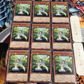 Aromatheraphy - Angelica 4 Normal, set of 9, Tera.