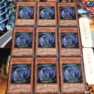 Evil Thorn 3 Normal 9-card set Tera