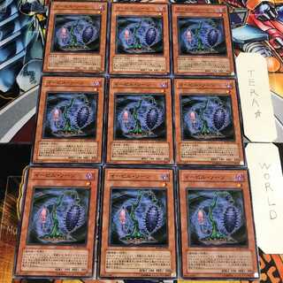 Evil Thorn 5 Normal 9-card set Tera