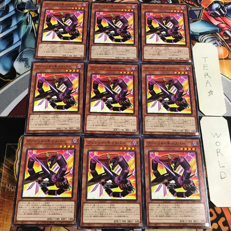 Valet Calibur 2 Normal, set of 9, Tera.