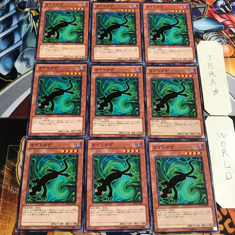 カゲトカゲ 1 ノーマル 9枚セット てら
