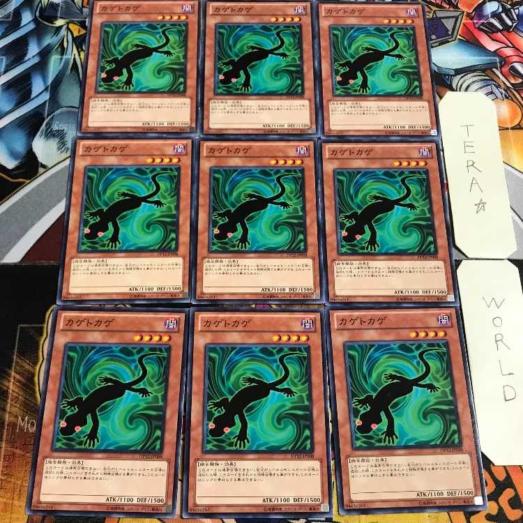 カゲトカゲ 3 ノーマル 9枚セット てら