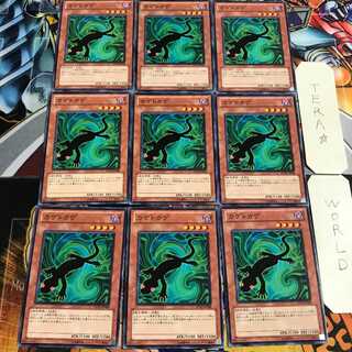 カゲトカゲ 3 ノーマル 9枚セット てら
