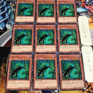 カゲトカゲ 4 ノーマル 9枚セット てら