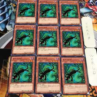 カゲトカゲ 5 ノーマル 9枚セット てら