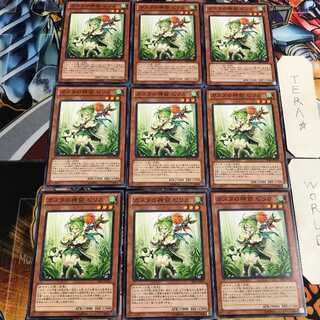 ガスタの神裔 ピリカ 4 ノーマル 9枚セット てら