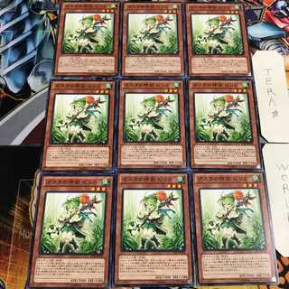 ガスタの神裔 ピリカ 5 ノーマル 9枚セット てら