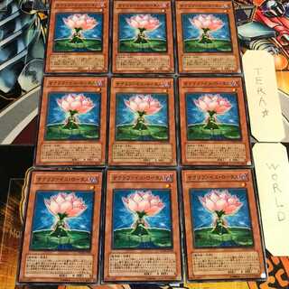 Samsara Lotus 1 Normal, set of 9 tera