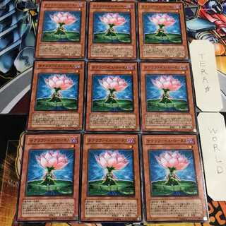 Samsara Lotus 3 Normal, set of 9 tera