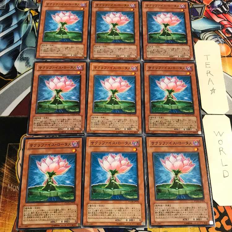 Samsara Lotus 4 Normal, set of 9 tera