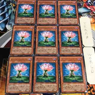 Samsara Lotus 5 Normal, set of 9 tera