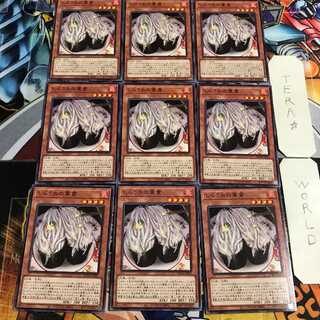 しらうおの軍貫 1 ノーマル 9枚セット てら