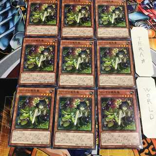 ジーナの蟲惑魔 3 ノーマル 9枚セット てら