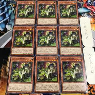 ジーナの蟲惑魔 5 ノーマル 9枚セット てら