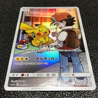 ヘタレ様専用ピカチュウ(SM11b CHR)