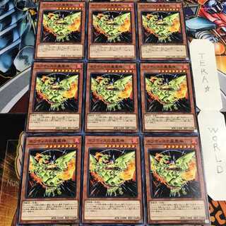 ネフティスの鳳凰神 2 ノーマル 9枚セット てら