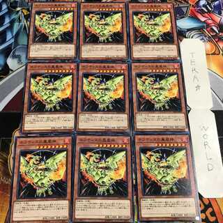 ネフティスの鳳凰神 3 ノーマル 9枚セット てら