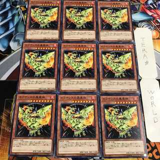 ネフティスの鳳凰神 5 ノーマル 9枚セット てら