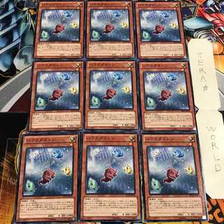 ハウスダストン 4 ノーマル 9枚セット てら