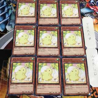 ぴよコッコ 1 ノーマル 9枚セット てら