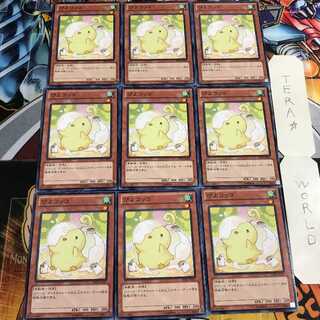 ぴよコッコ 3 ノーマル 9枚セット てら