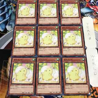 ぴよコッコ 4 ノーマル 9枚セット てら