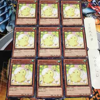 ぴよコッコ 5 ノーマル 9枚セット てら