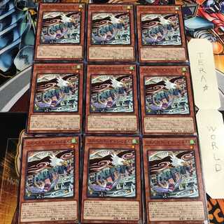 ふわんだりぃず×いぐるん 5 ノーマル 9枚セット てら