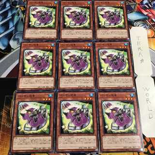 ペンギン忍者 2 ノーマル 9枚セット てら